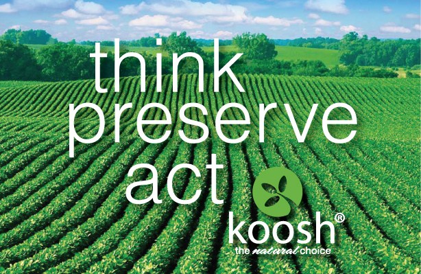 Think, Preserve, Act